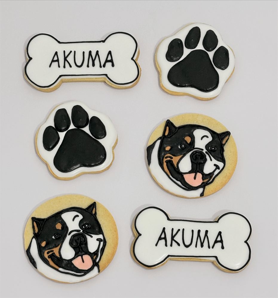 Custom hand-decorated sugar cookies — set 3