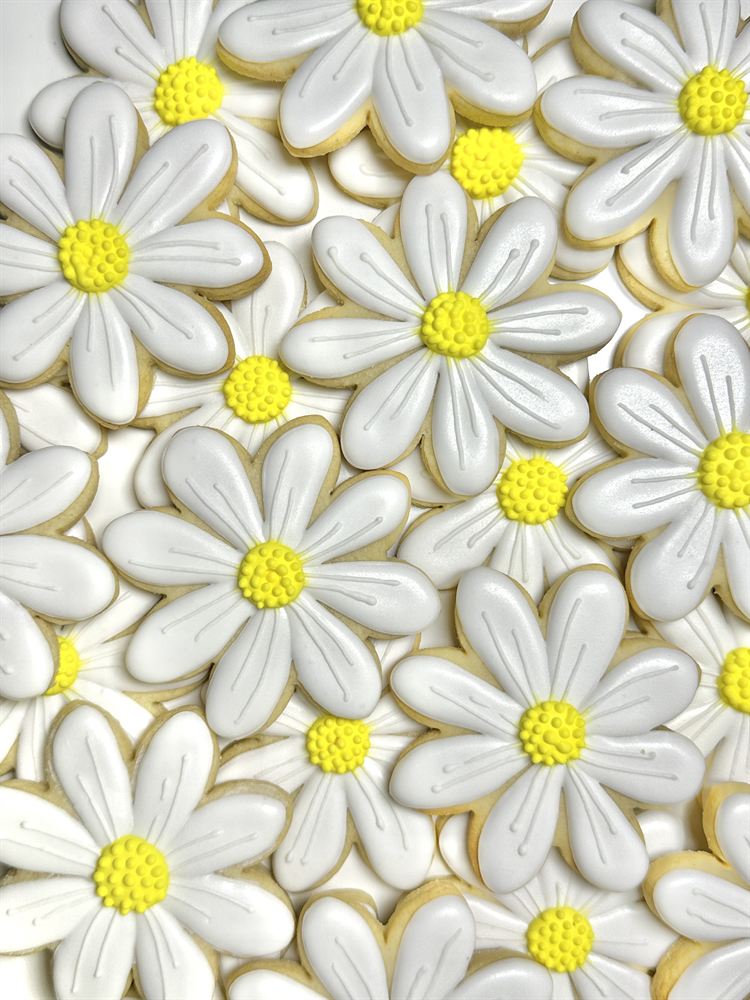 Custom hand-decorated sugar cookies — set 5