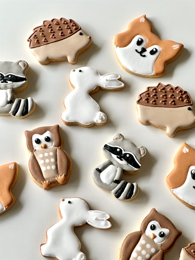 Custom hand-decorated sugar cookies — set 21